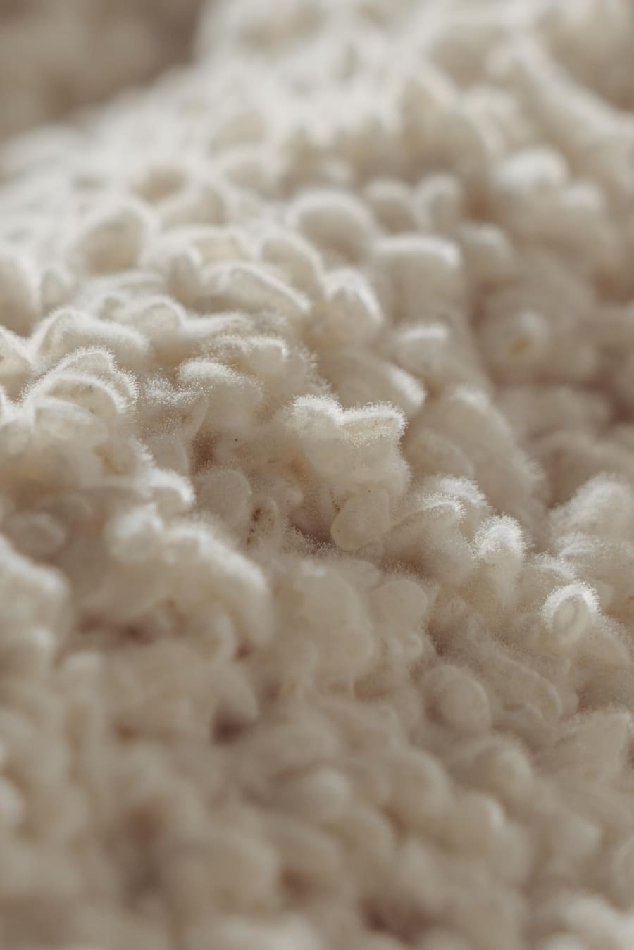 Yamasake Knonau - Die Brüder Christian und Oliver Weibel produzieren Schweizer Sake in Knonau - März 2023 - Copyright Olivia Pulver