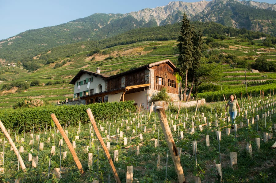 Marie-Thérèse Chappaz