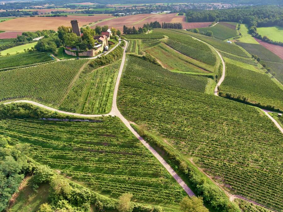 Link an Elisabeth.Kleinstaeuber@weingut-heitlinger.de