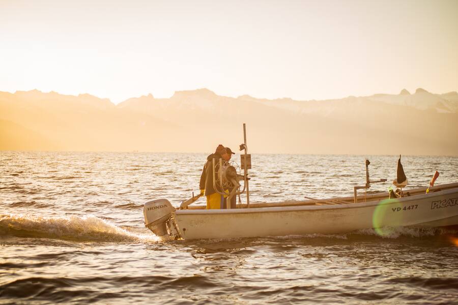 6 mains Stéphane Décotterd Guy Ravet Franck Derouet Clos des Sens Annecy poissons d'eau douce