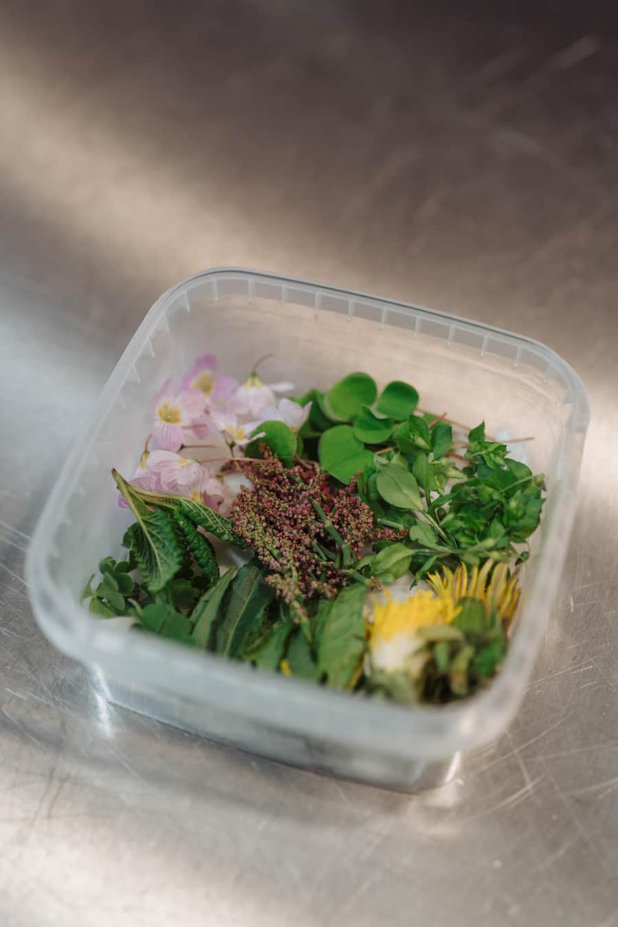 Birdy's by Achtien, Brunnen - Christian Vogel - April 2023 - Copyright Olivia Pulver