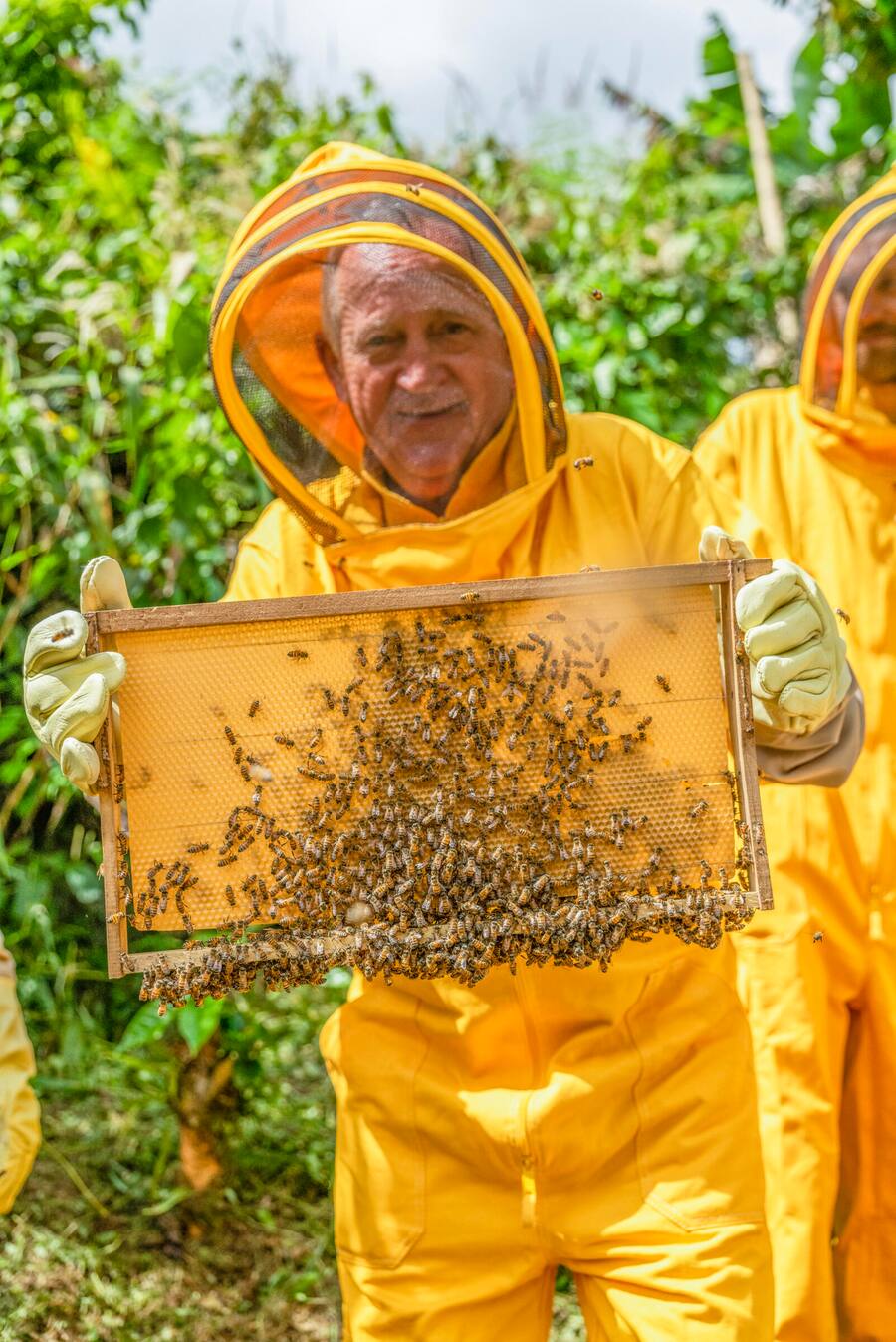 NESPRESSO die Rechte für 2 Jahre gekauft, nachher kostenpflichtig, Januar 2025 HO Byline Fotograf / InÂ