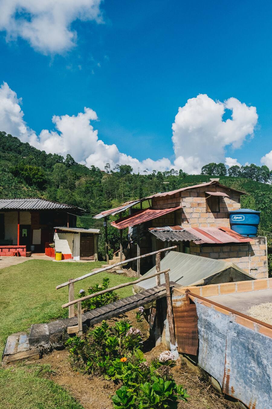 NESPRESSO die Rechte für 2 Jahre gekauft, nachher kostenpflichtig, Januar 2025 HO Byline Victoria HolguÃn