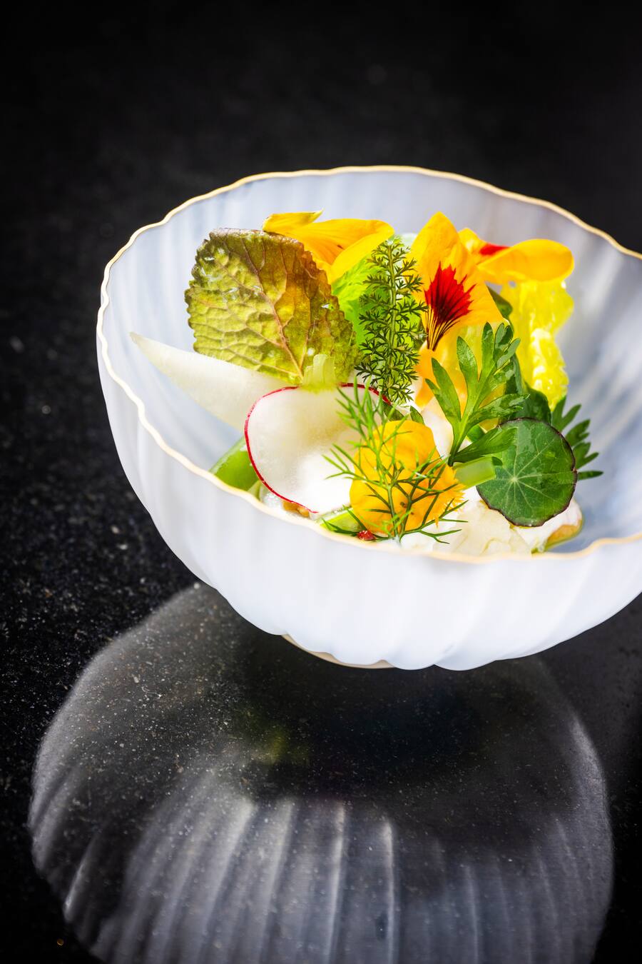 Gilad Peled kocht im Restaurant Collonal 2023: Frühlingssalta, Ziegenkäse, Zitrone, Kräuter-Pesto