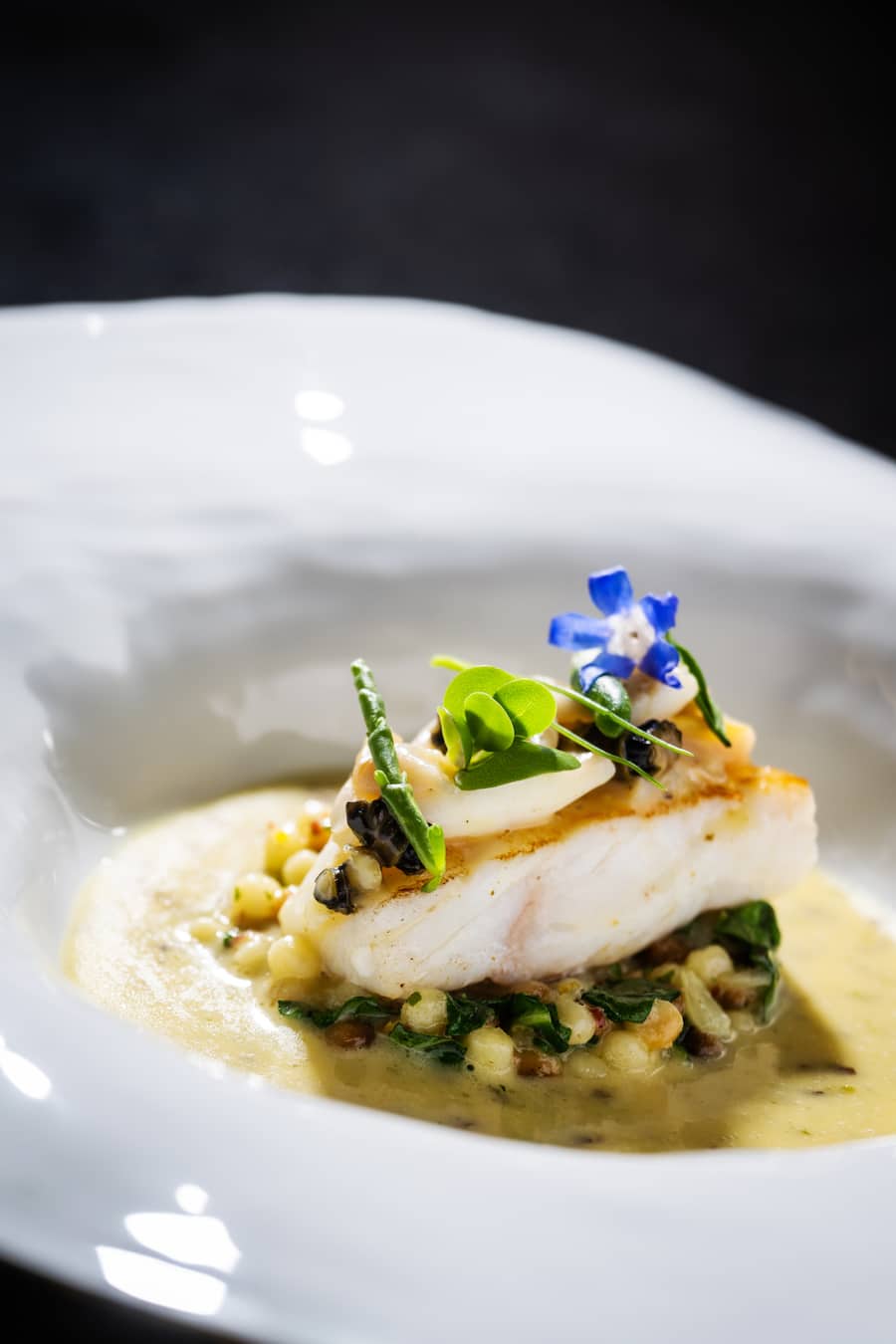 Gilad Peled kocht im Restaurant Collonal 2023: Steinbutt, Fregola Sarda, Mangold, Muscheln, Algen