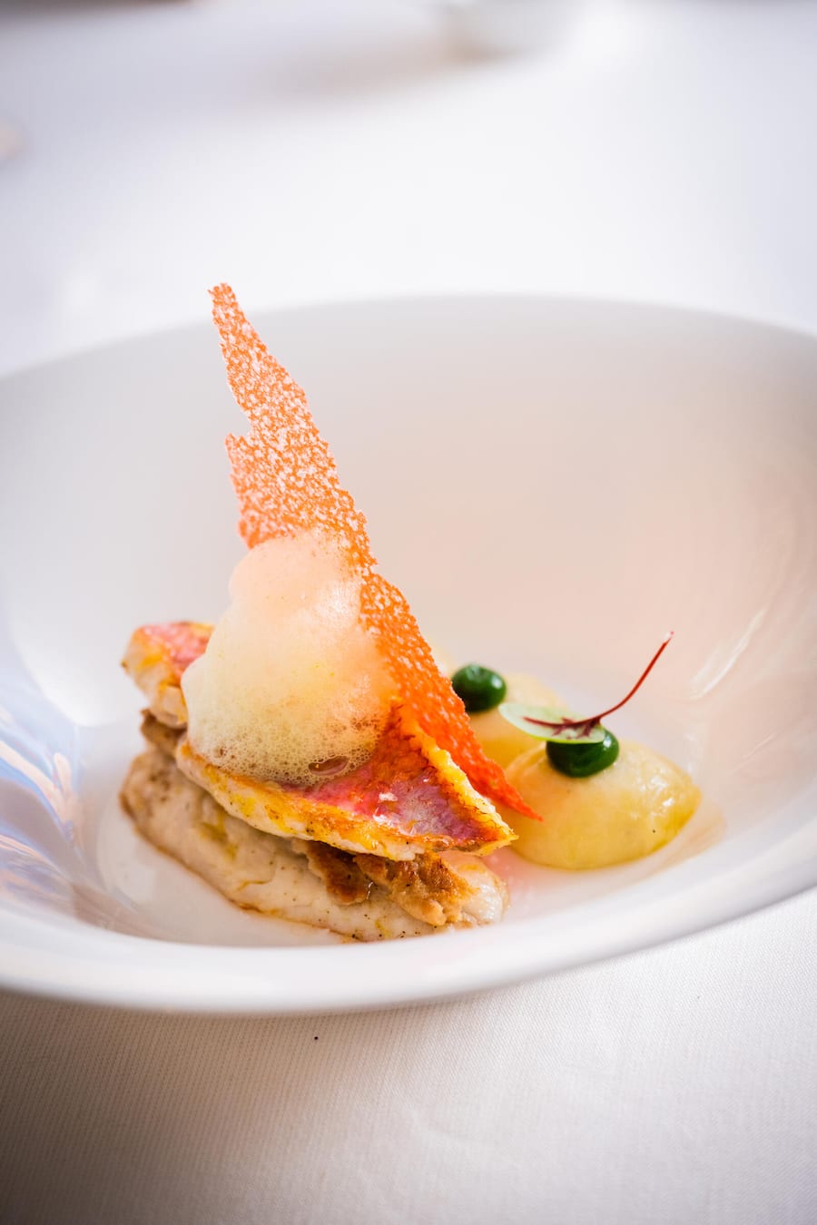 Marco Padalucci kocht im BADALUCCI 2023: Red Mullette