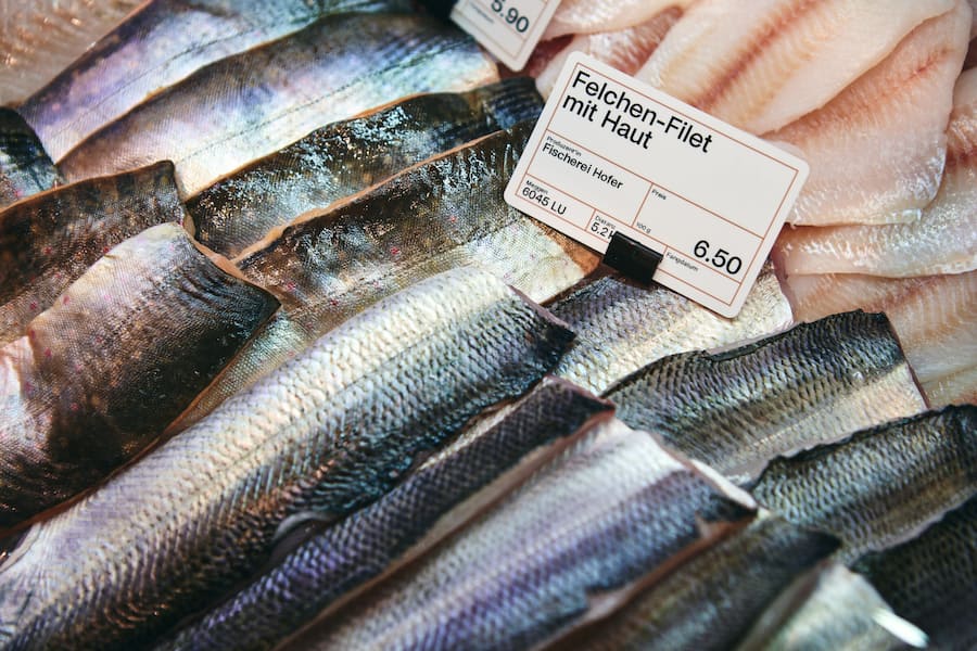 Felchen-Filet Fischerei Hofer