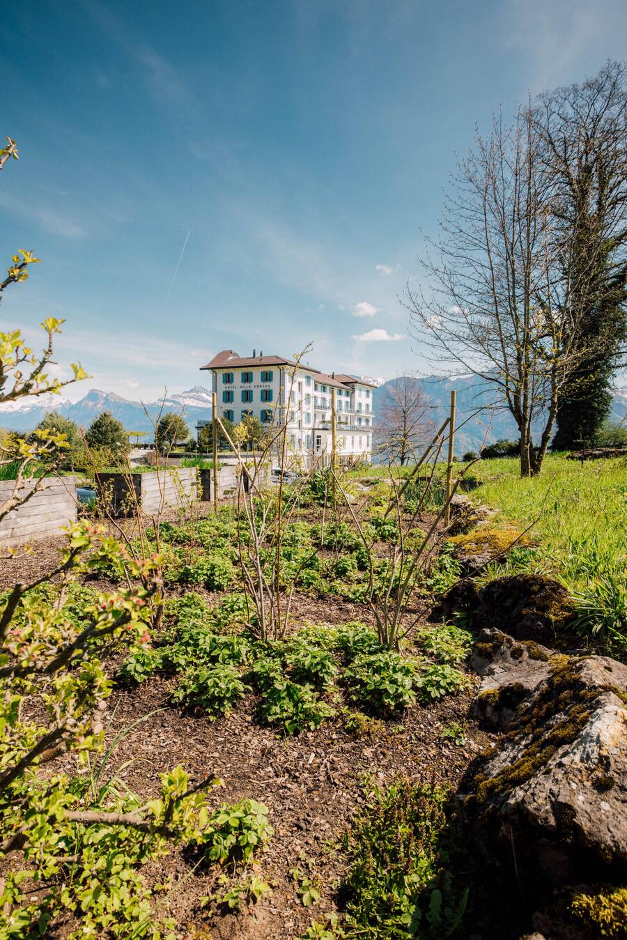 Mit HONexquisitelanciert die VILLA HONEGG eine neue Reihe gastronomischer Anlässe für Gourmets und Freunde aus der Region. Link an martina.anderberg@maisondeschefs.ch