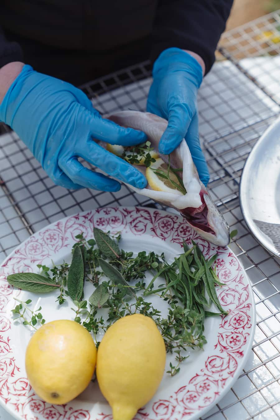 Bären Schwarzenburg Forellen Naturkreislauf