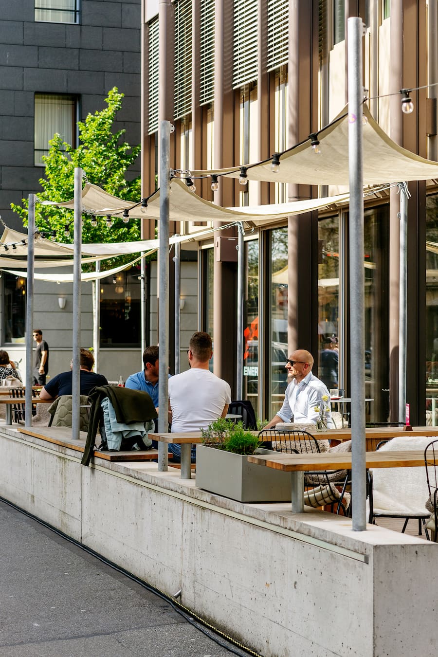 Birds in the kitchen im The Studio