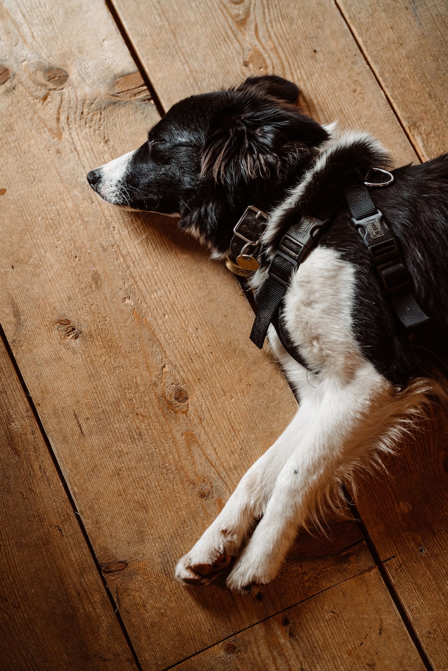 Stefan Wiesner der Hexer vom Entlebuch kocht im Wiesner-Mysterion in Bramboden