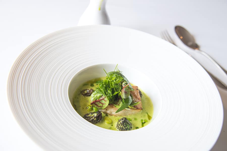 Steinbutt Beurre blanc