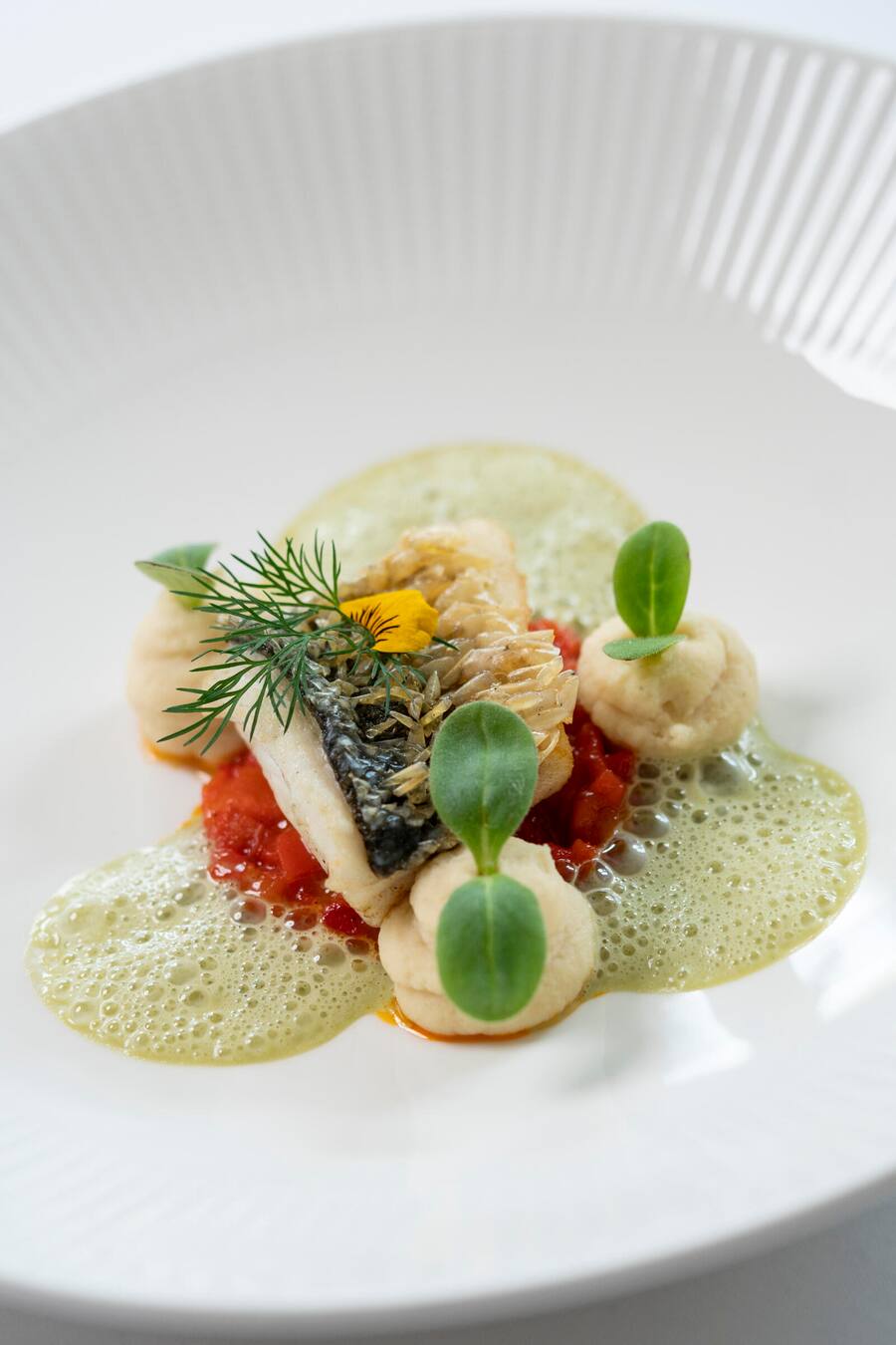 Sternen Pfungen, Loupe de mer im Schuppenkleid Wildfang, Peterliwurzel, Peperonata, Zitronengras