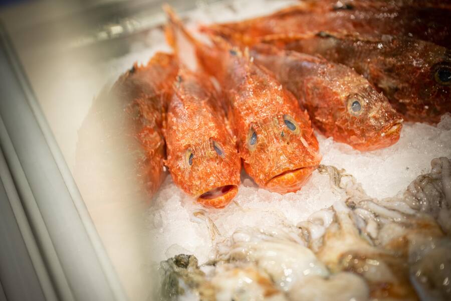 Villa Castagnola, Chef Alessandro Boleso 2023