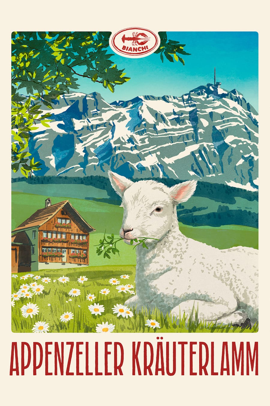 Two little lambs in front of a white background