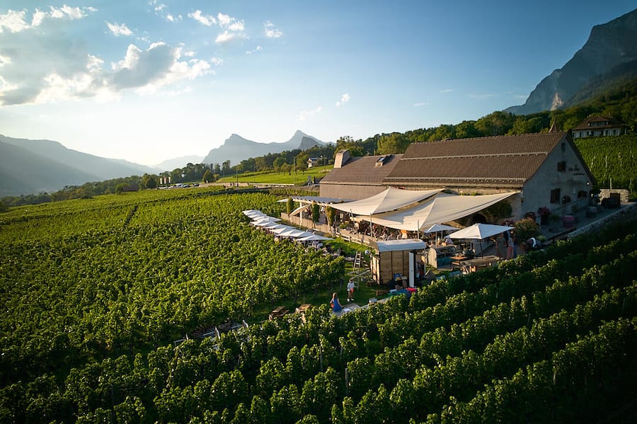 Alter Torkel Jenins, Huus vum Bündner Wii, GR