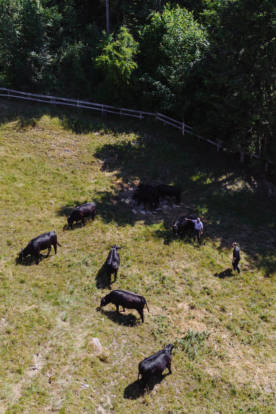 Appenzeller Huus Gonten