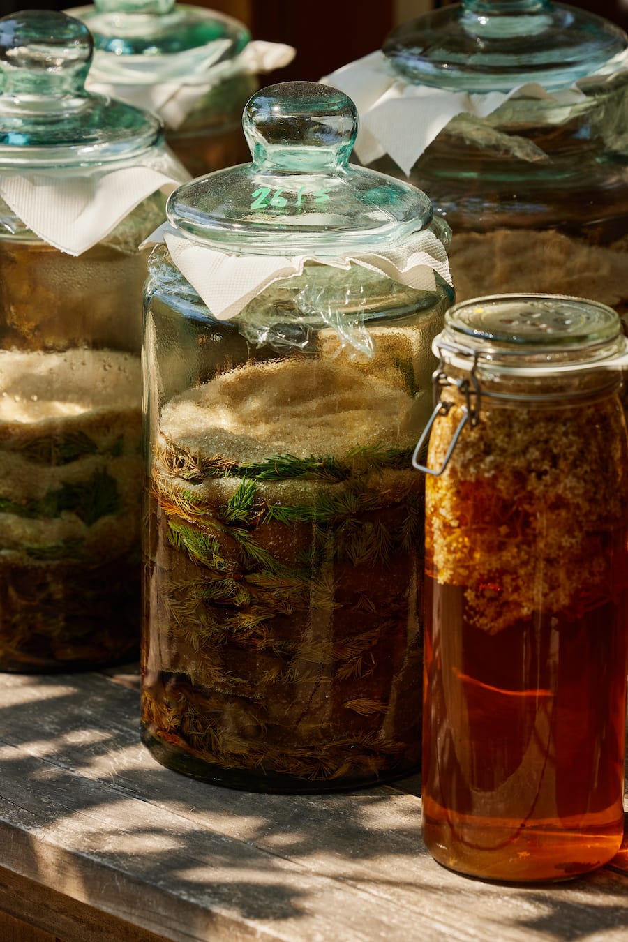 Kräuterspezialist, Cédric DossmannnHier: Holunderblühten eingelegt in Essig