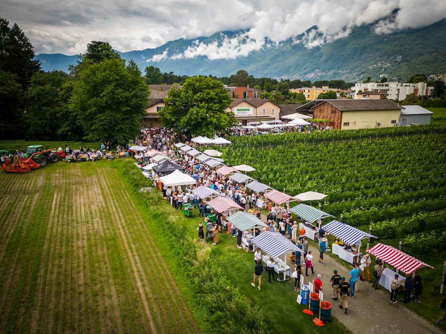 Mercato del Gusto 2023