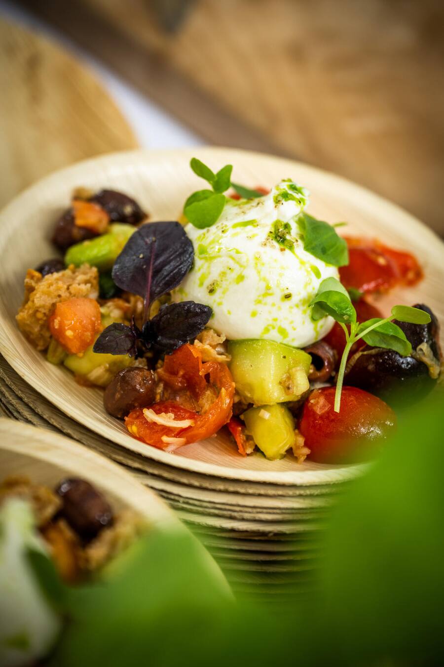 Mercato del Gusto 2023: Mattias Roock, Panzanella und Burrata mit Gemüse und Basilikum