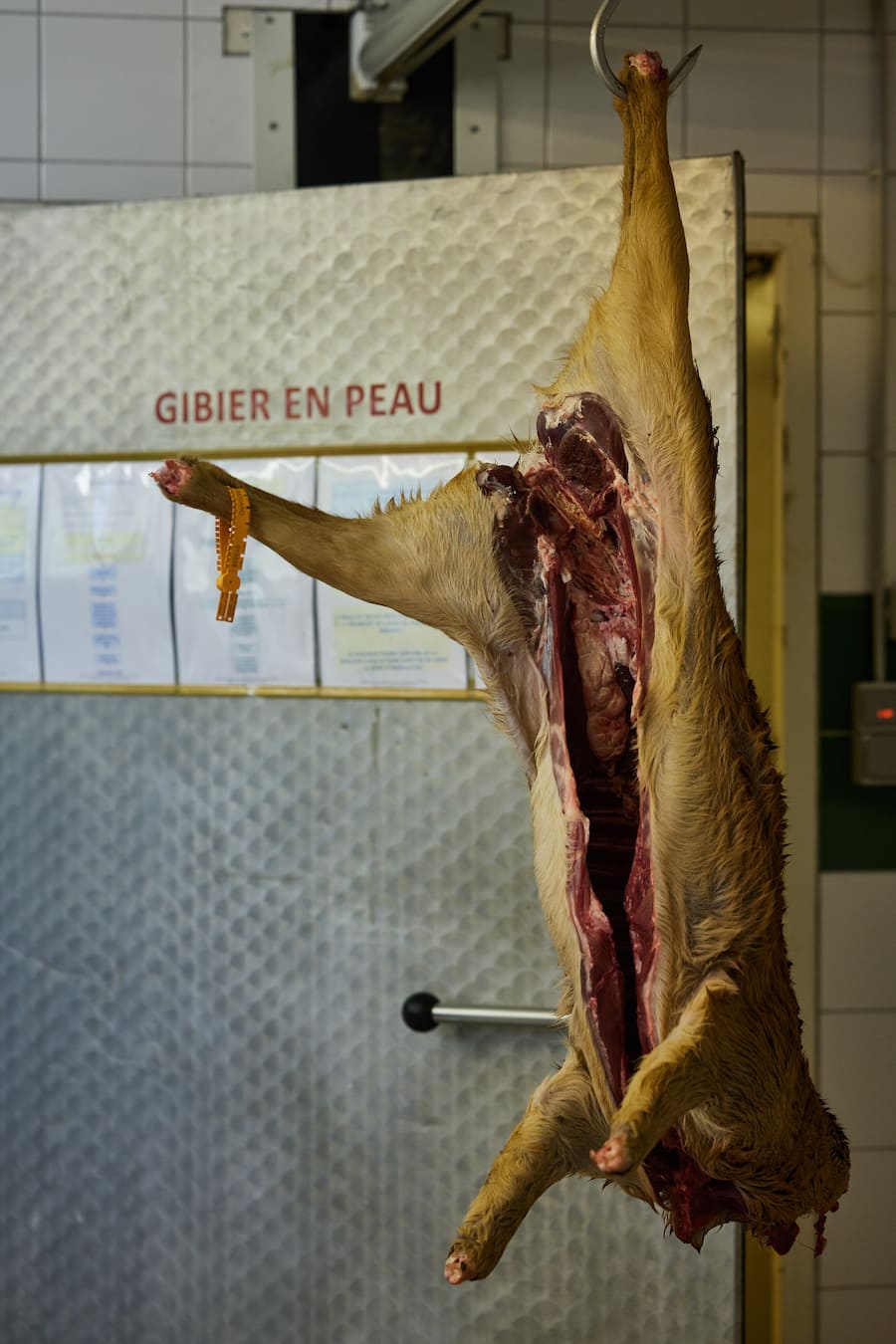 Reh Maison du Gibier