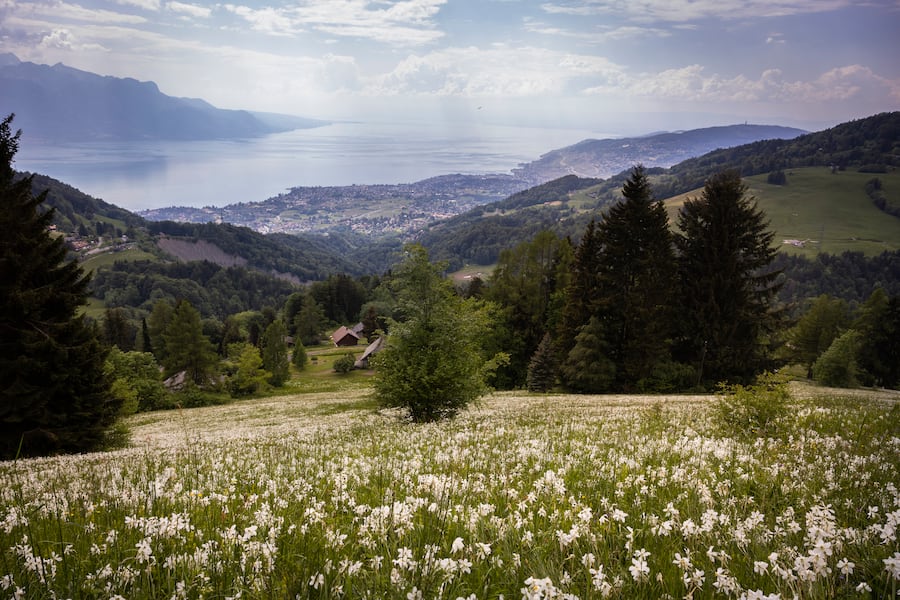 GM MOB, Restaurant Auberge de la Cergniaulaz, Les Avants