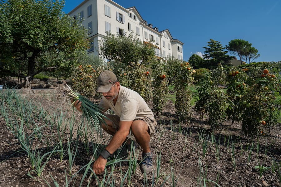 Bon Rivage Garden On The Lake Stéphane Cattane