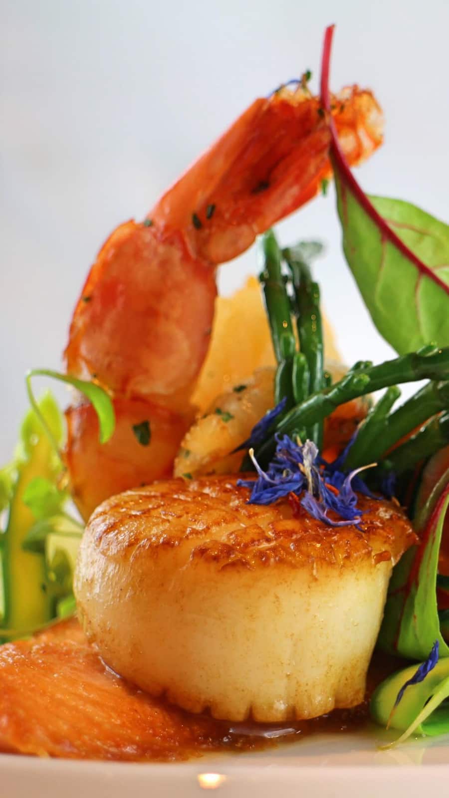 Golf Hôtel René Capt