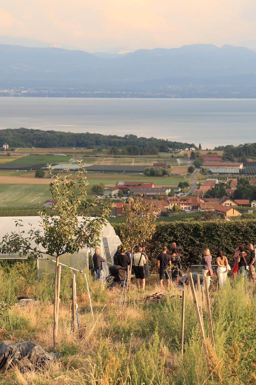 Jardins de Chivrageon