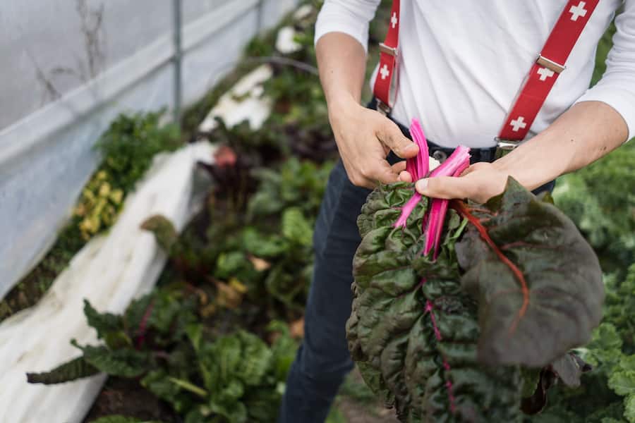 Les Jardins de Chivrageon