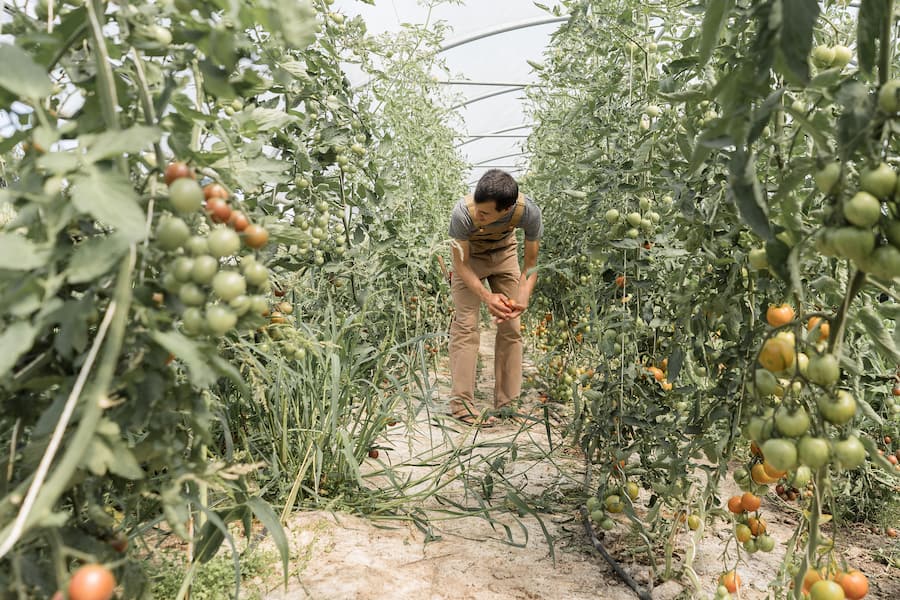 Les Jardins de Chivrageon