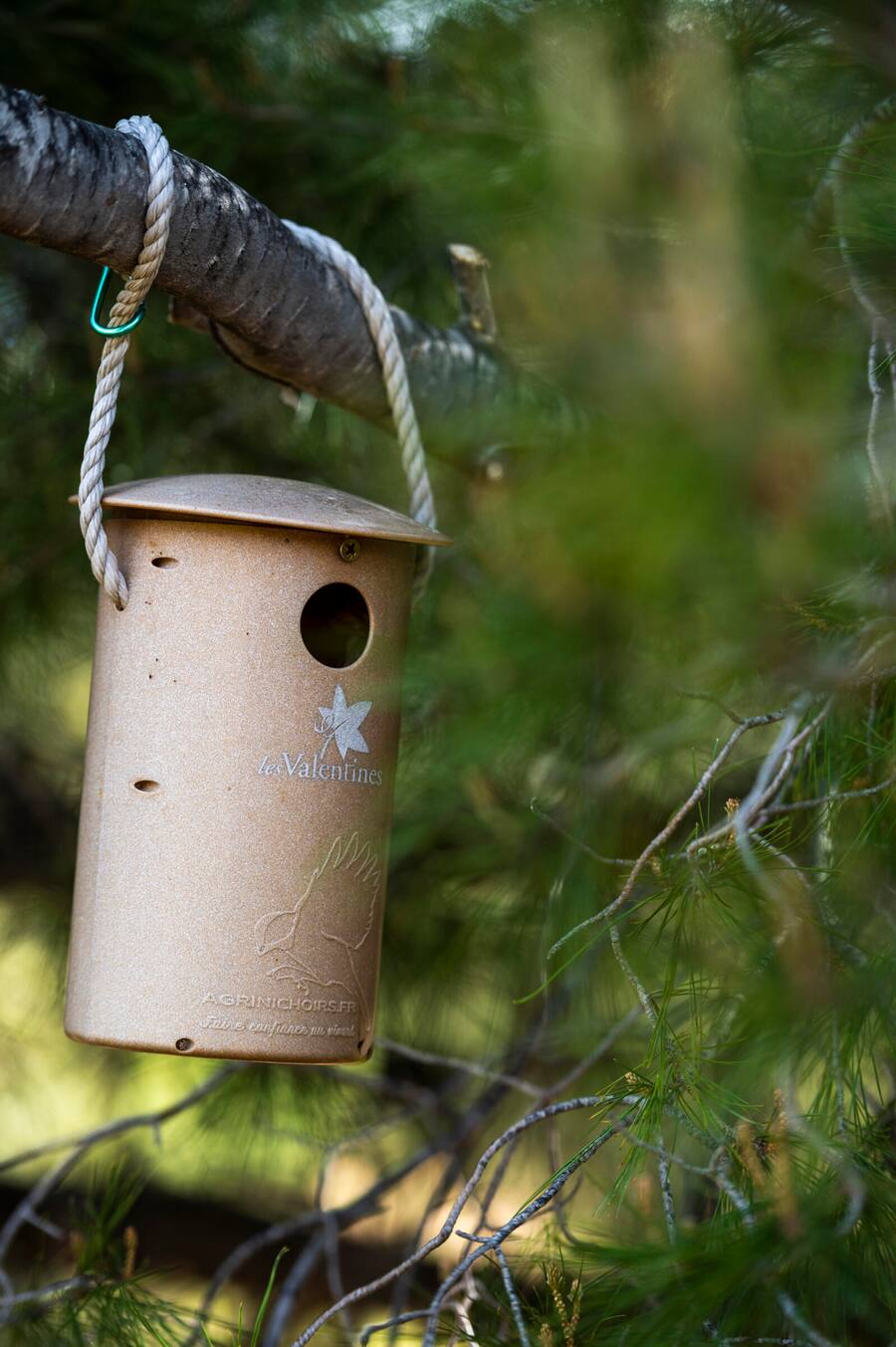 Vogelnistkasten im Weinberg