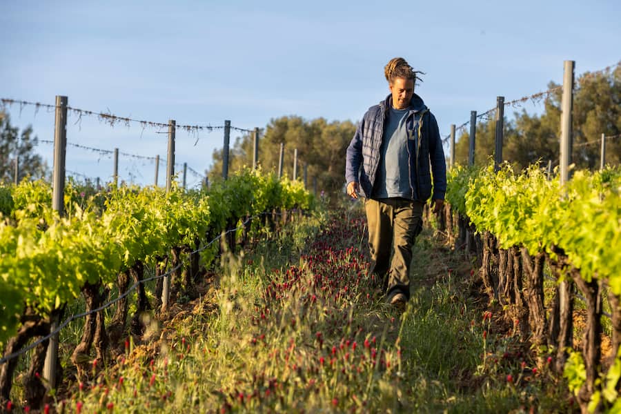 Cédric Gard ist Verantwortlich für die Produktion des Bio Weingutes