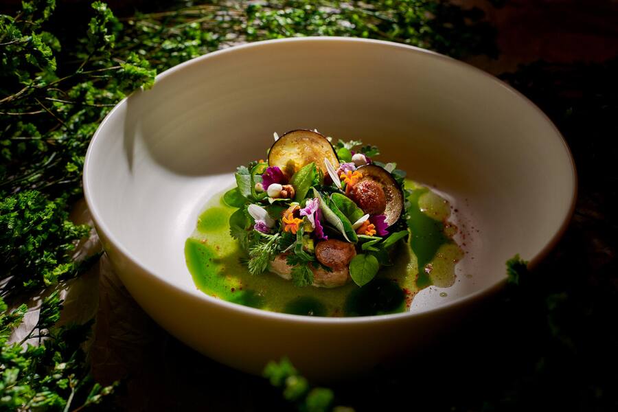 Gericht: Aubergine mit blooms-Gartenkräutern und grünem Tomatensaft