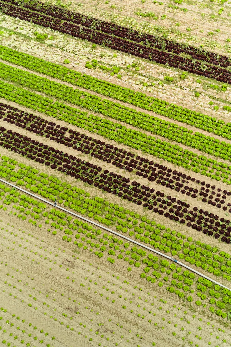 Gault Milau Bio Cuisine Velotour