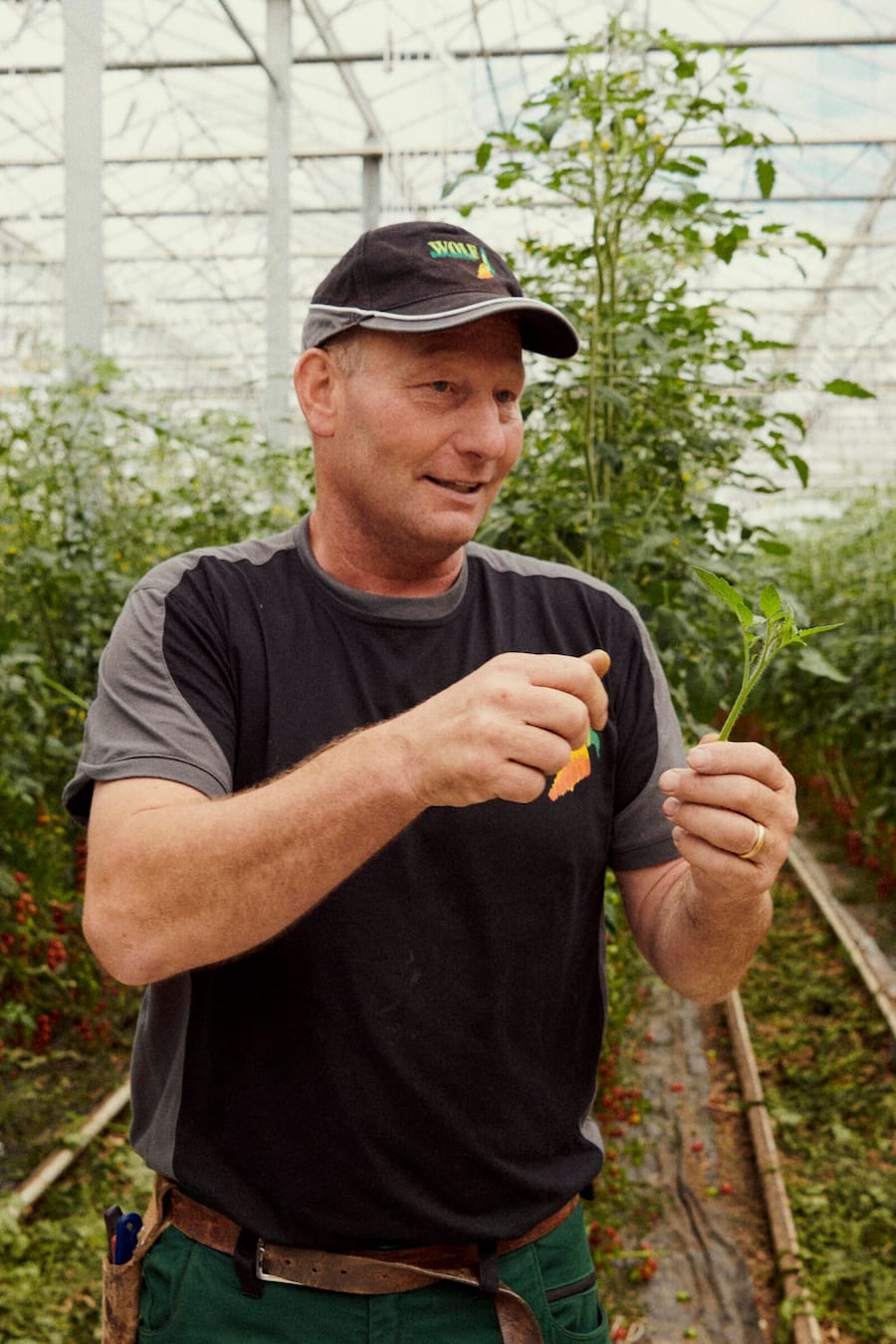 Gault Milau Bio Cuisine Velotour