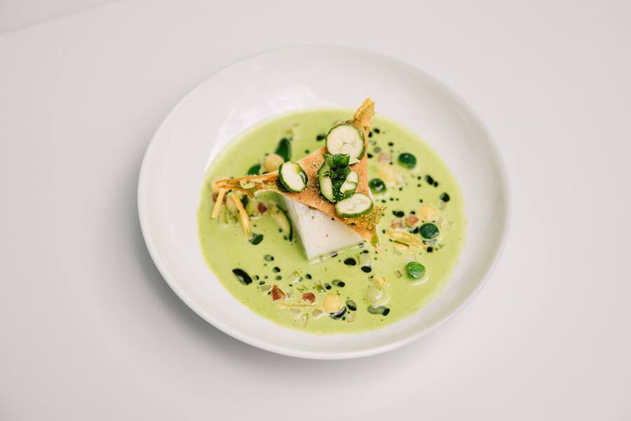 Steinbutt Zucchini Kräuter