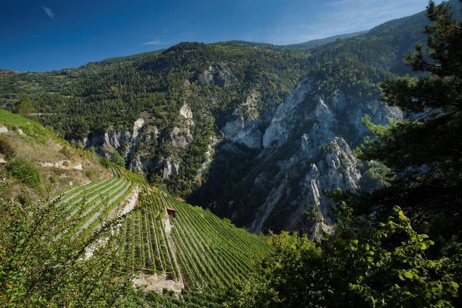 Jean-René Germanier, Weingut in Vétroz, VS