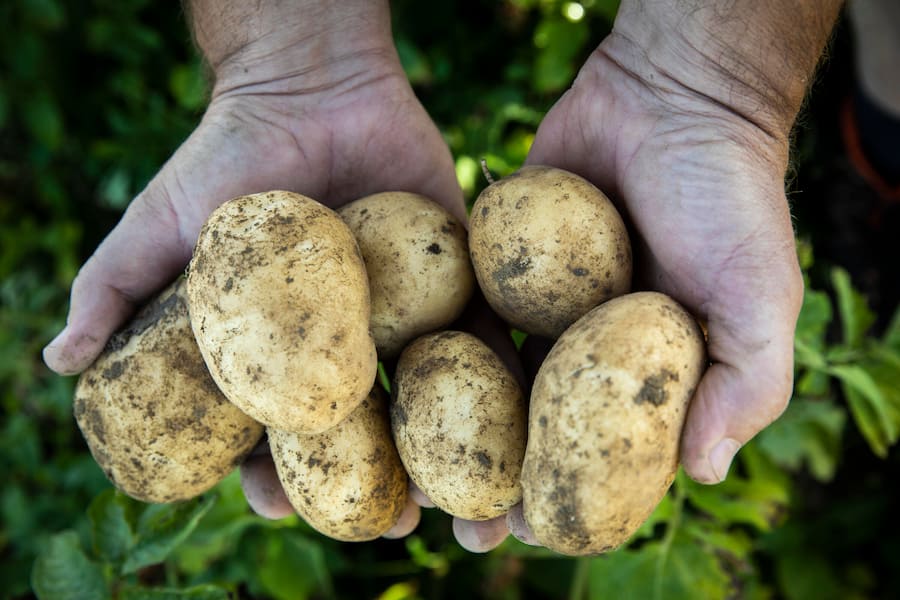 Mehr Schweiz im Teller; Andrea+ Daniel Peter-Fehr