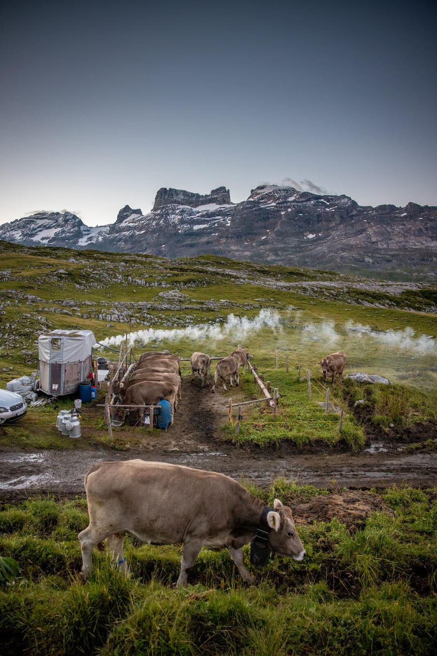 Alpkäserei Tannalp, Obwalden. Sbrinz-Serie. Mit Chef-Käser Arnold Bucher und Sohn Patrick.