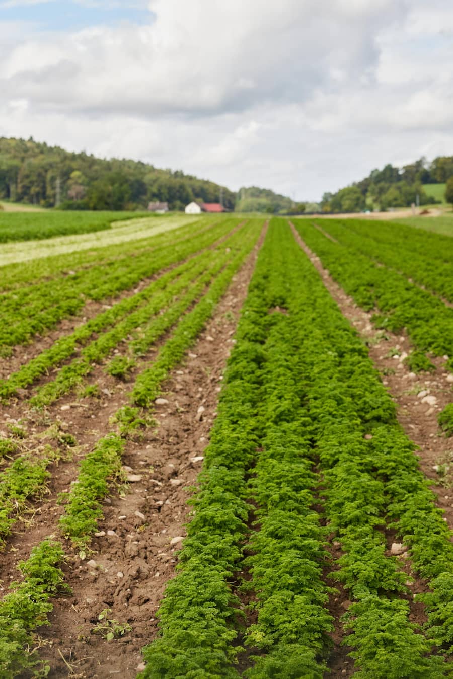 Kräuter Mäder & Michaela Frank