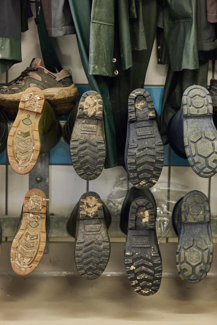 Kräuter Mäder & Michaela Frank