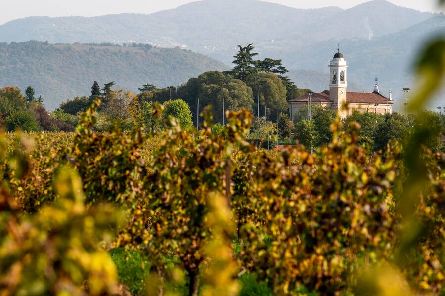 Der erste Rebberg des Weingutes in Passirano