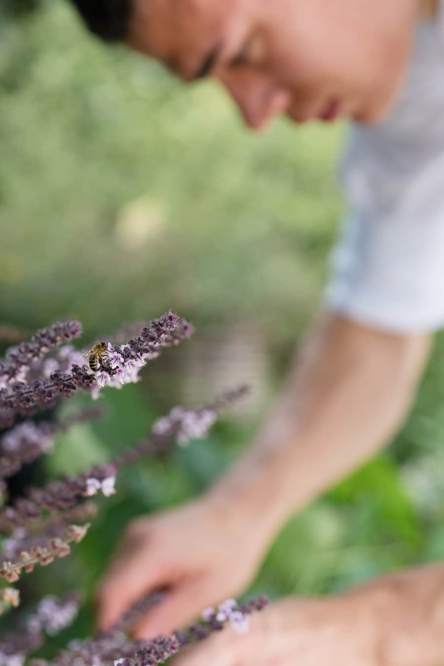 Raul Garcia Park Hotel Vitznau