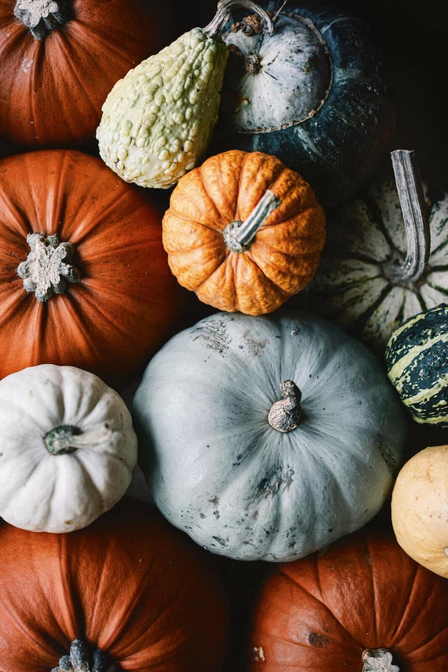 Vom 29. September bis 12. November 2023 servieren wir Ihnen herausragende Wild-Menüs mit der passenden Weinbegleitung* aus dem Schaffhauser Blauburgunderland. Als Gastland haben wir dieses Jahr wunderbare Tropfen aus Portugal, welche Sie gerne in Kombination â oder als Vergleich dazu â geniessen können. Wir sind begeistert von den Genüssen des Herbstes, in der Kulinarik und in der Ãnologie. Seien Sie unser Gast bei Wild und Wein am Rhein.