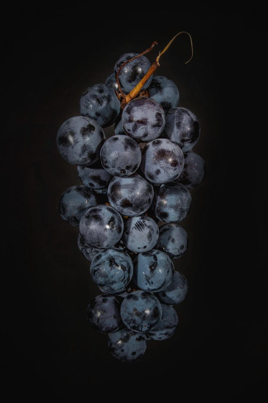 Vom 29. September bis 12. November 2023 servieren wir Ihnen herausragende Wild-Menüs mit der passenden Weinbegleitung* aus dem Schaffhauser Blauburgunderland. Als Gastland haben wir dieses Jahr wunderbare Tropfen aus Portugal, welche Sie gerne in Kombination â oder als Vergleich dazu â geniessen können. Wir sind begeistert von den Genüssen des Herbstes, in der Kulinarik und in der Ãnologie. Seien Sie unser Gast bei Wild und Wein am Rhein.