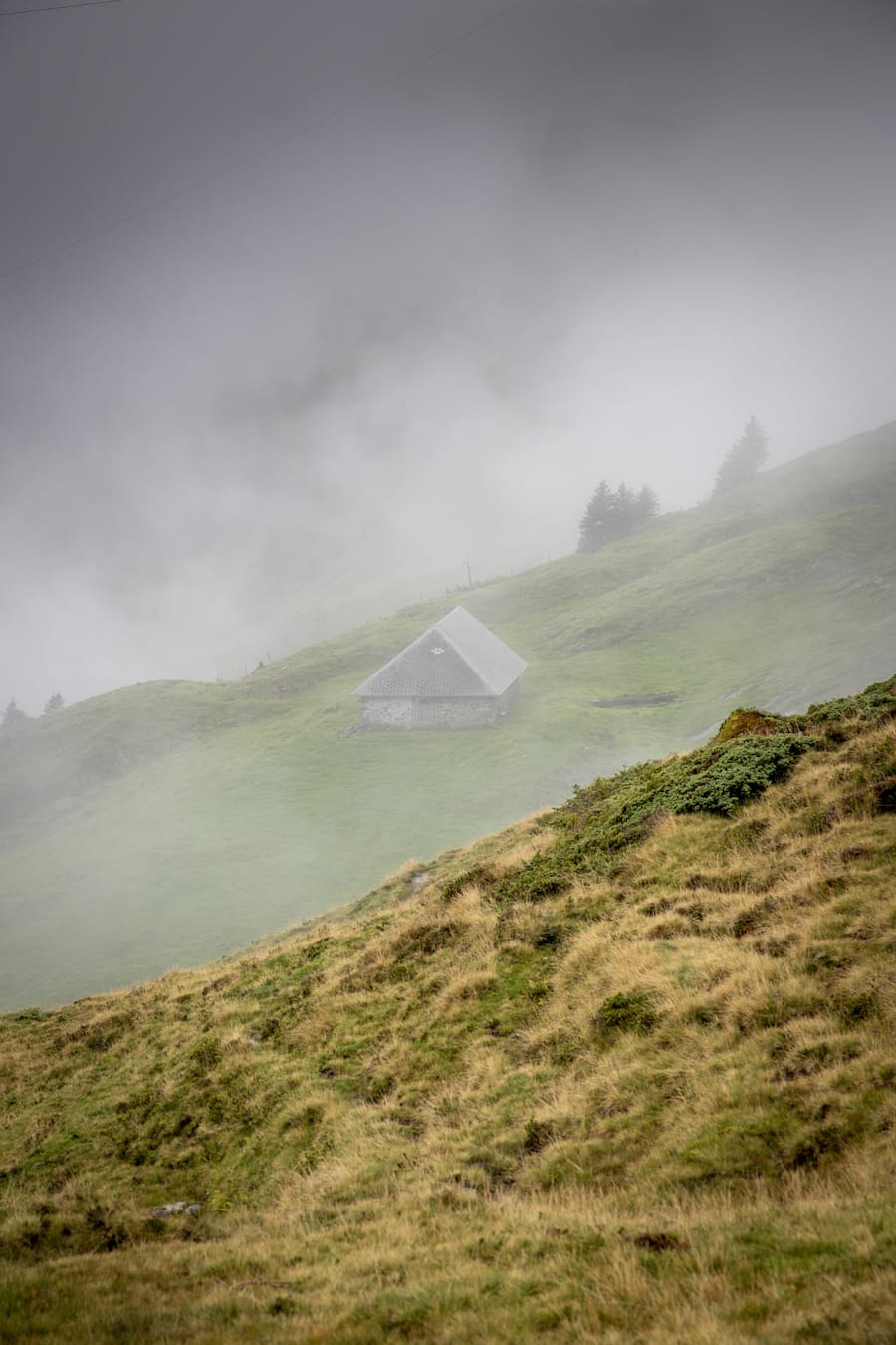 Mit Holzen Fleisch, Stefan Mathis, Alp Laucheren