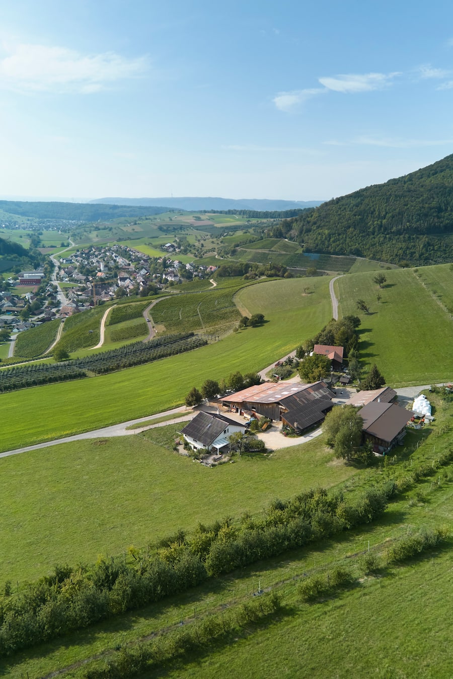Mettlihof. Auf dem Hof von Stefan Itin in Maisprach BL, Christoph Hartmann, Koch Taverne Johann, Basel, 12.09.2023, Foto Lucai Hunziker