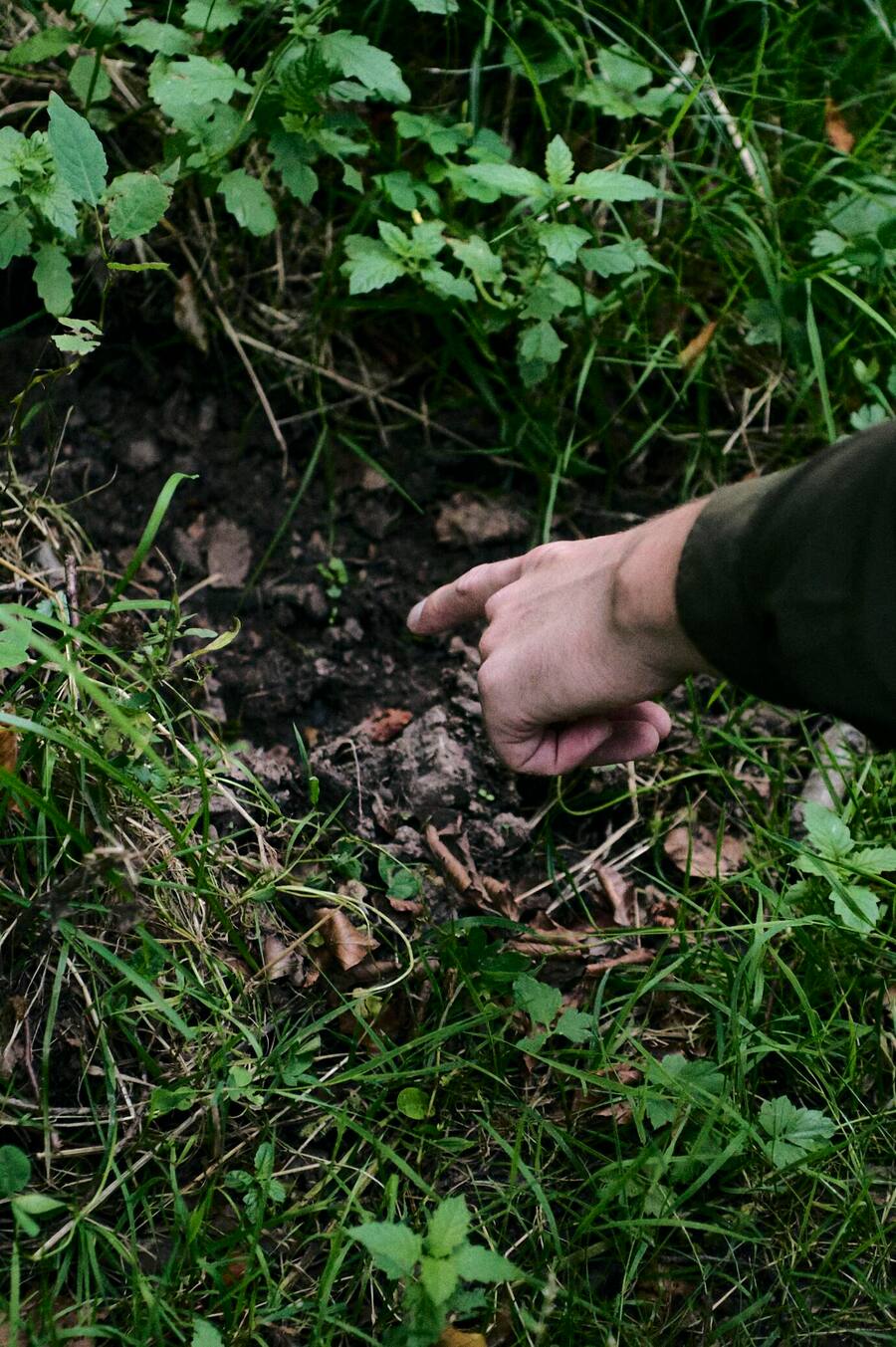 Jan Schemmer Bell Jagd