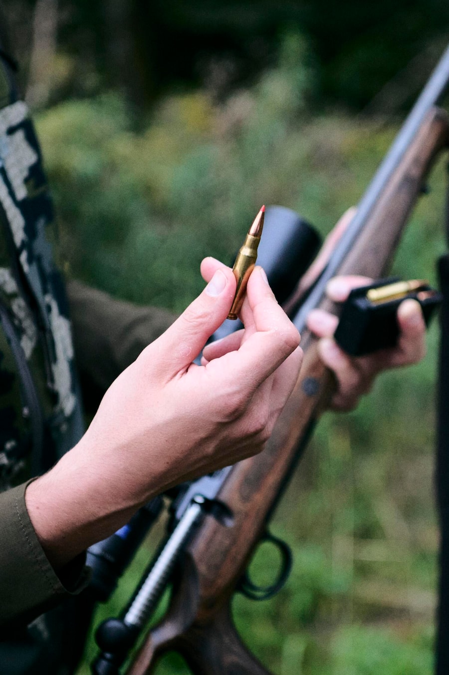 Jan Schemmer Bell Jagd